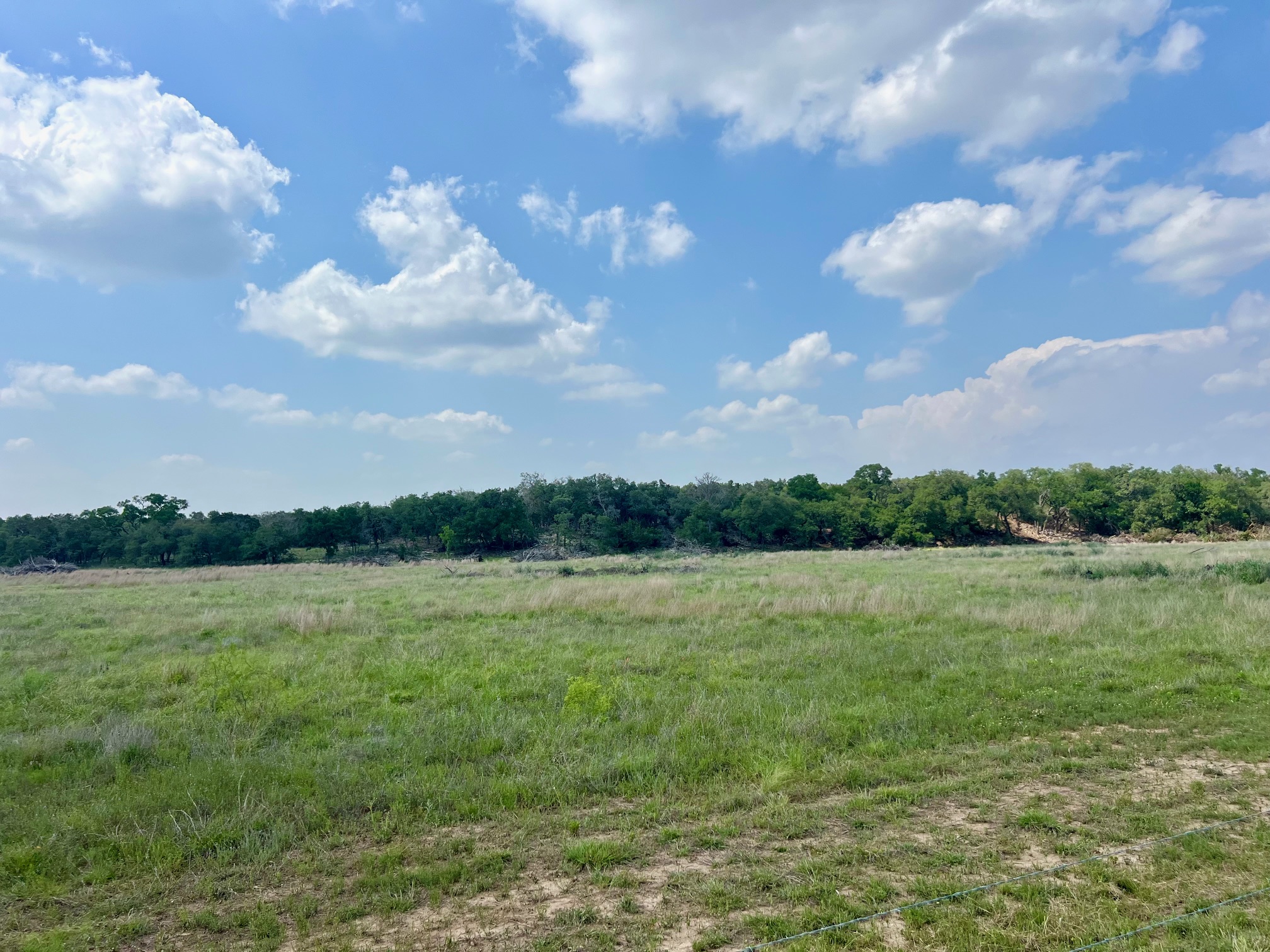 1366 E Narrows Road Blanco, TX 78606 - Photo 9 of 18