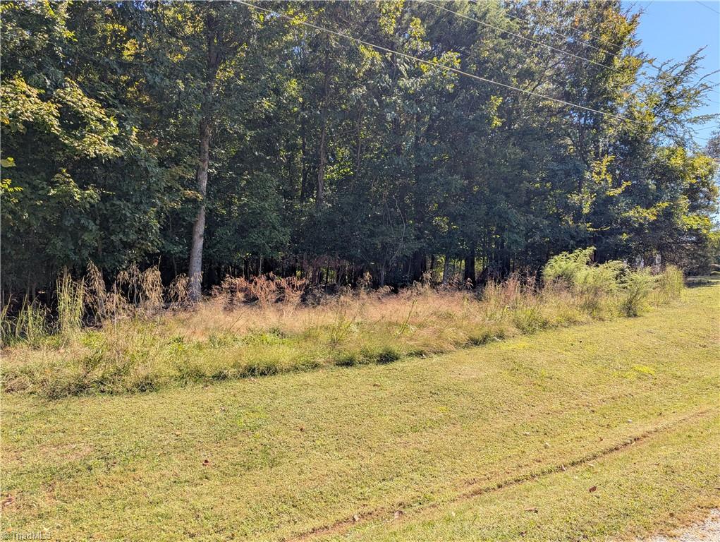170 Spring Hollow Road High Point, NC 27262 - Photo 3 of 4 Gallery Image 3