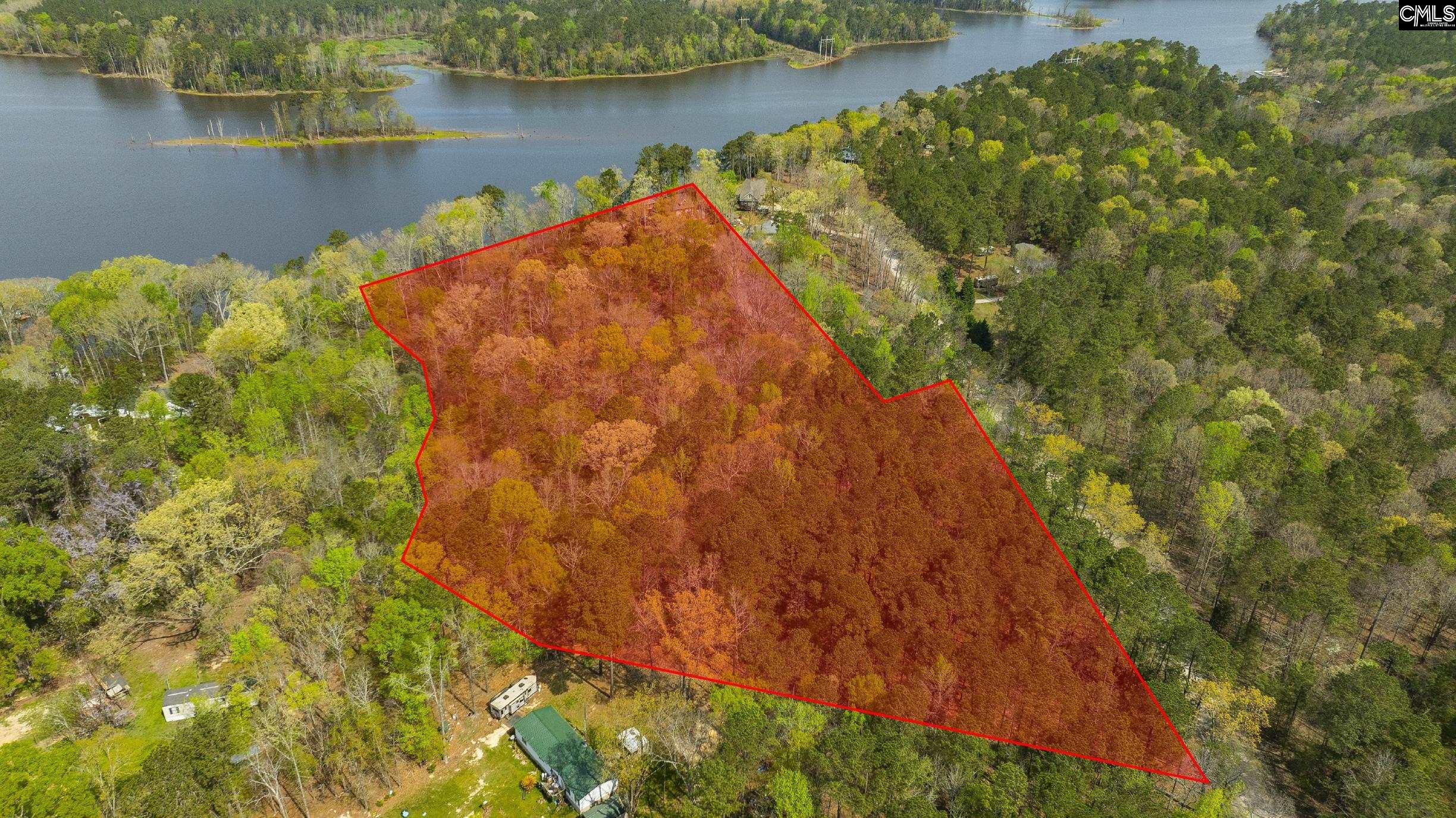 161 Saluda Bluff Road Batesburg, SC 29006 - Photo 3 of 61
