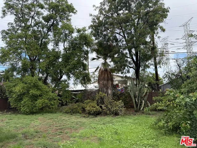 a view of a tree in a yard