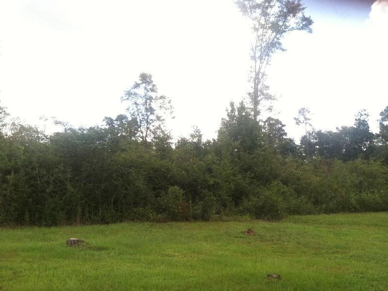 1700 Cedar Point Road Cantonment, FL 32533 - Photo 2 of 3