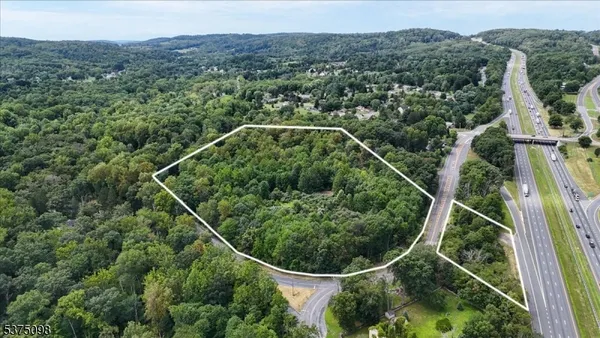 an aerial view of forest