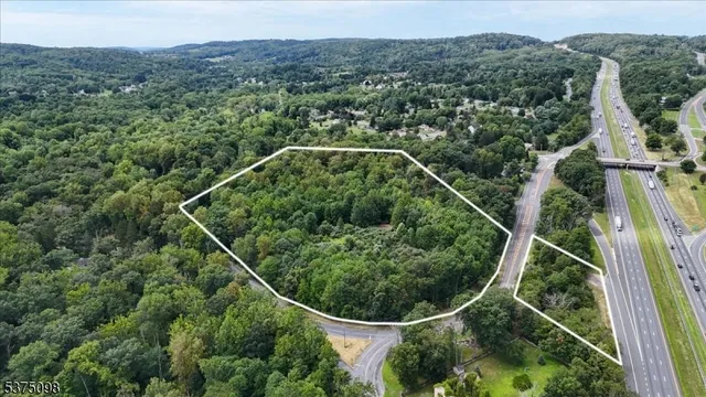 an aerial view of forest