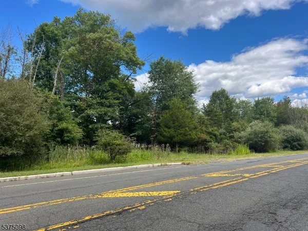 a view of a yard and basketball court