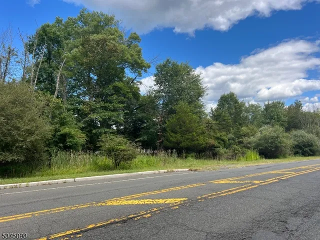 a view of a yard and basketball court