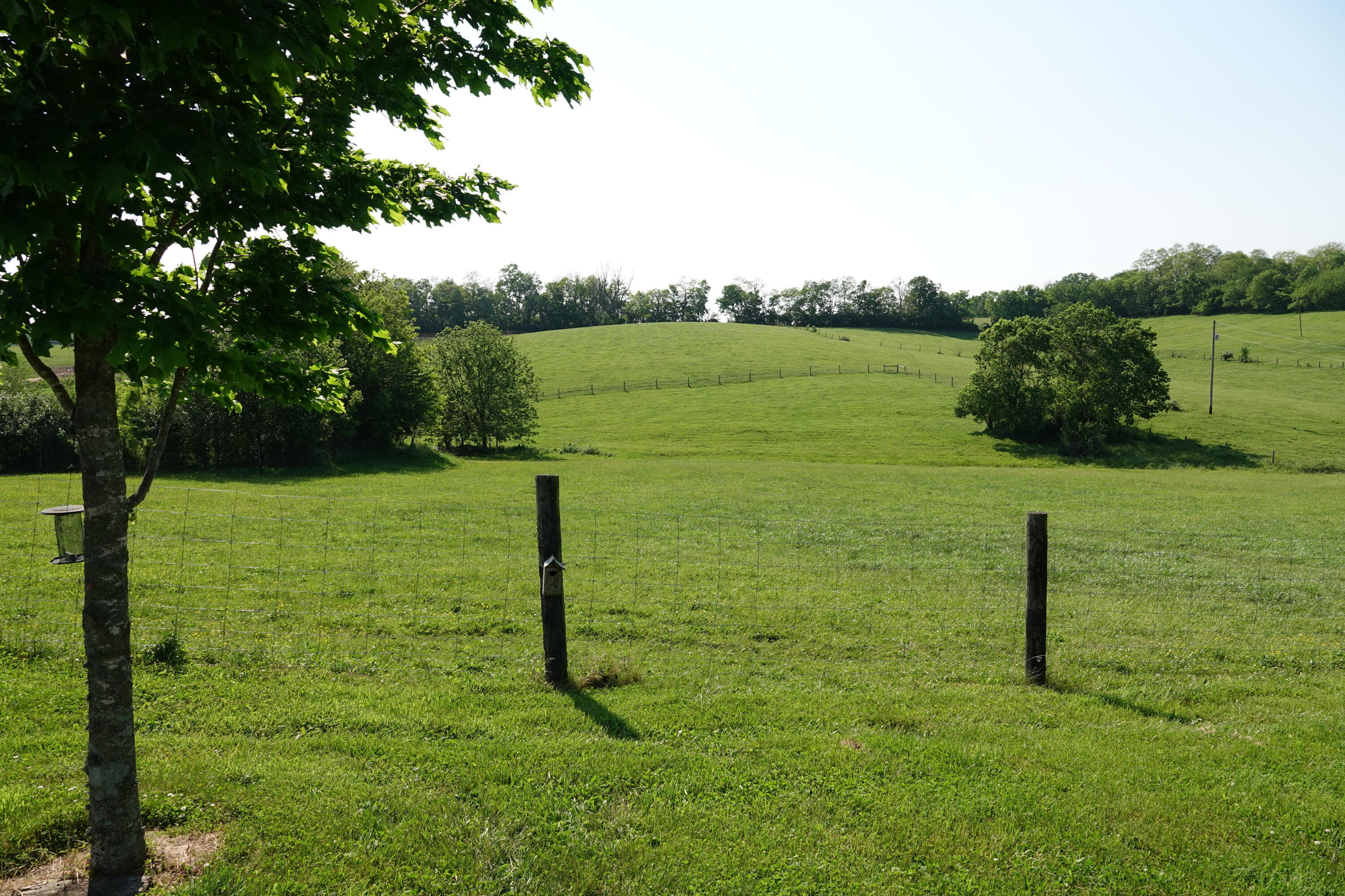 800 College Road Paris, KY 40361 - Photo 10 of 24 DSC00478