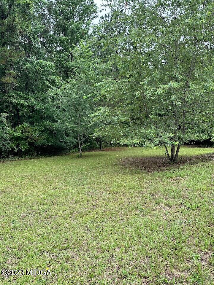 1328 Hamlin-Floyd Road Jeffersonville, GA 31044 - Photo 31 of 32 pic 10