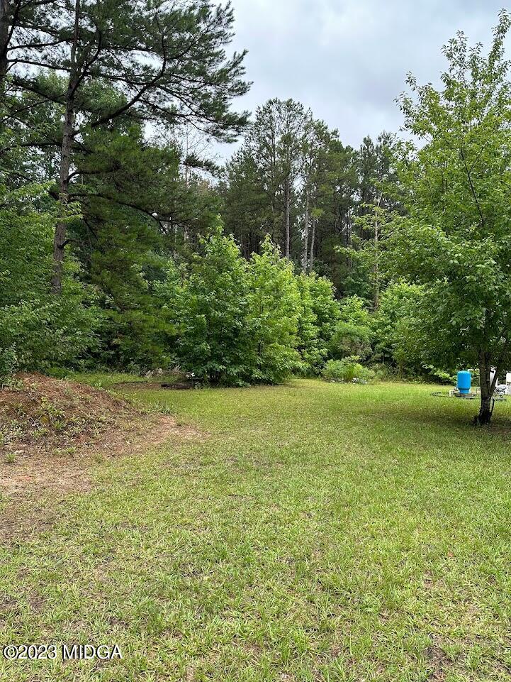 1328 Hamlin-Floyd Road Jeffersonville, GA 31044 - Photo 32 of 32 pic 8