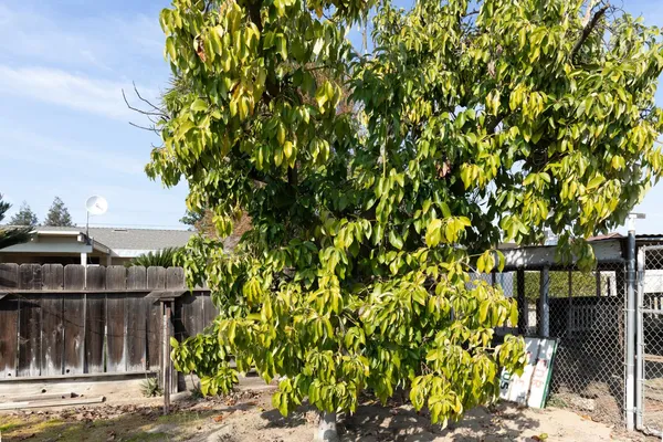$629,000 | 12265 East Dinuba Avenue, Selma, CA 93662