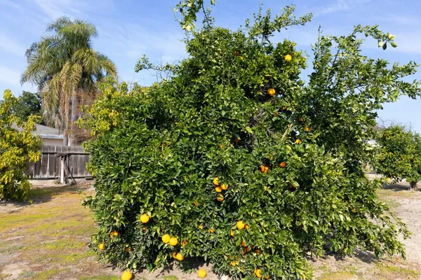 $629,000 | 12265 East Dinuba Avenue, Selma, CA 93662
