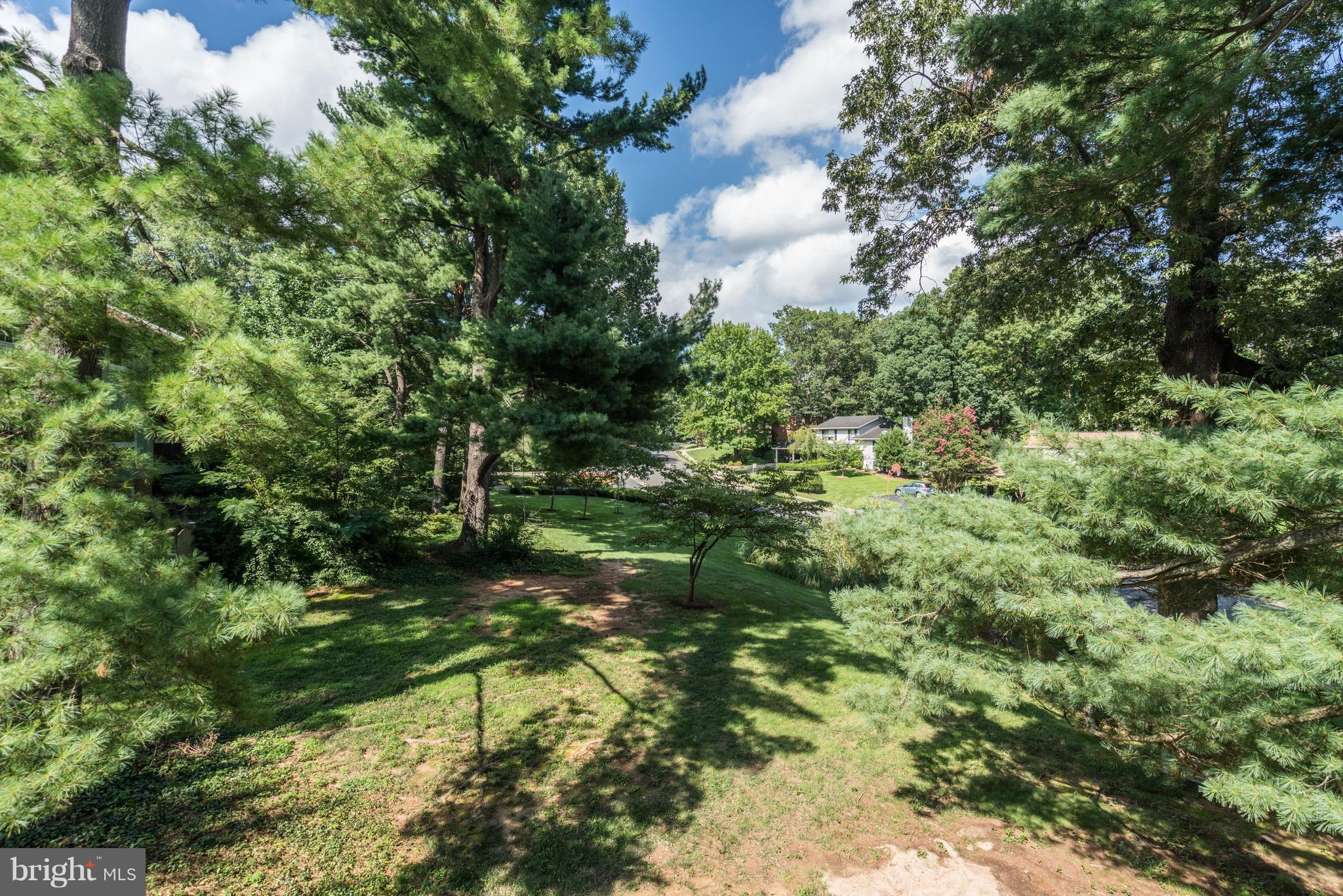 11049 Saffold Way Reston, VA 20190 - Photo 29 of 30 Another view from the Deck