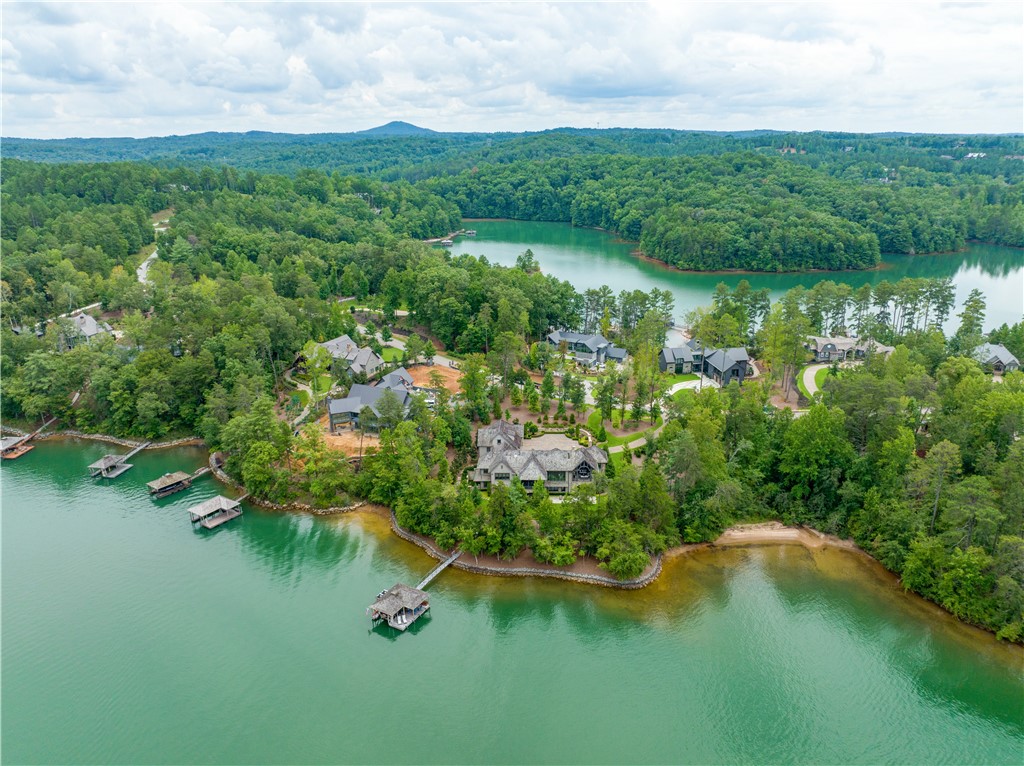386 Peninsula Ridge Sunset, SC 29685 - Photo 3 of 50 Gallery Image 3
