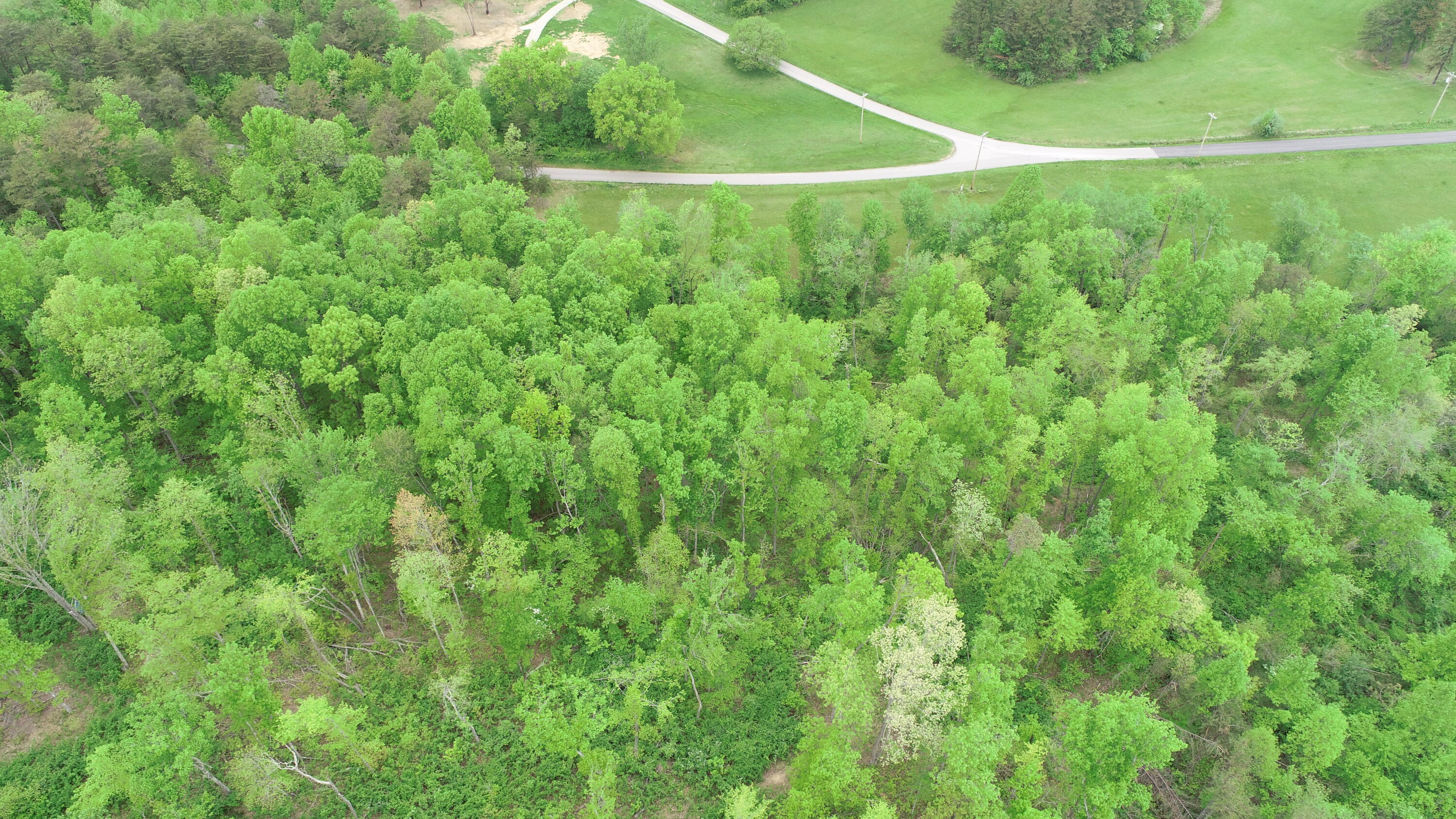 5 Mildred Road Annville, KY 40402 - Photo 3 of 5 DJI_0931