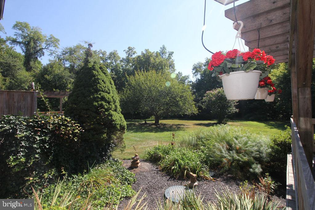 792 Knight Island Road Earleville, MD 21919 - Photo 29 of 75 Back Yard