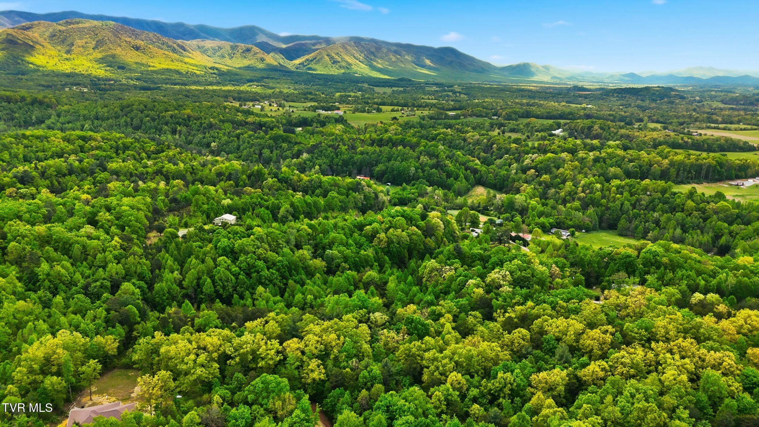 2376 Middle Creek Road, Unit 8 Afton, TN 37616 - Photo 6 of 15 3