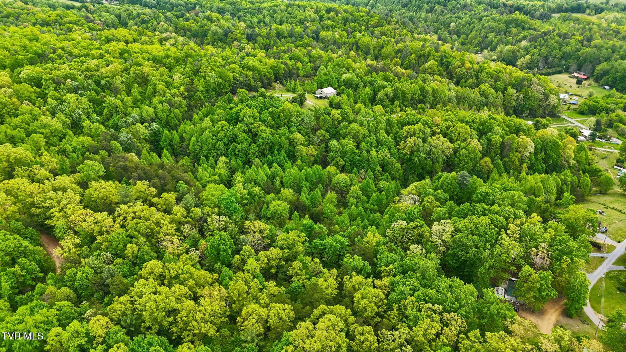 2376 Middle Creek Road, Unit 8 Afton, TN 37616 - Photo 7 of 15 4