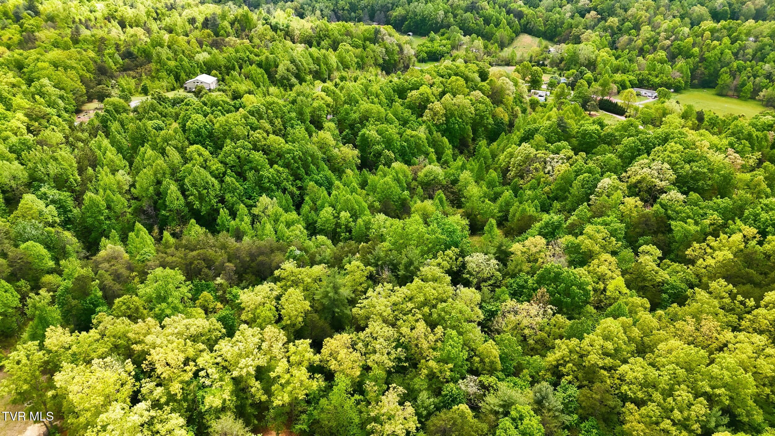 2376 Middle Creek Road, Unit 8 Afton, TN 37616 - Photo 10 of 15 7