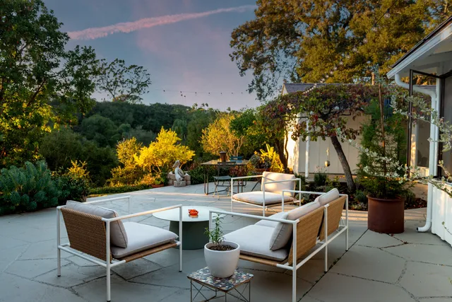 a view of a backyard with plants