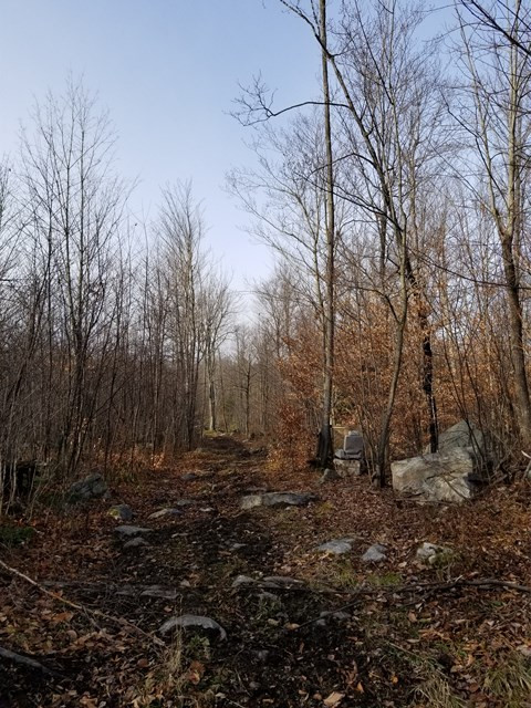 . Irona Road Altona, NY 12910 - Photo 13 of 25 Gallery Image 13
