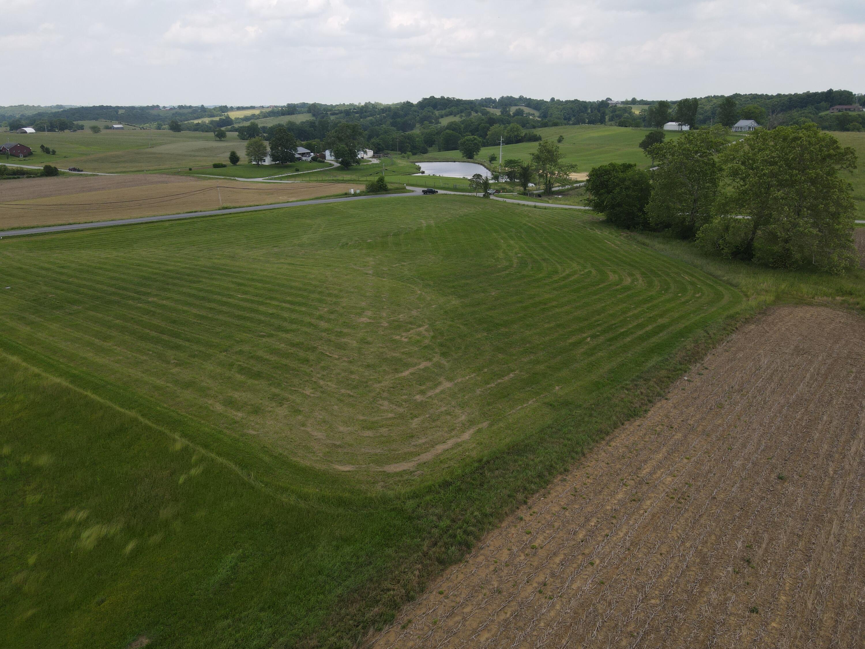 52 Bishop Ridge Road Falmouth, KY 41040 - Photo 5 of 37