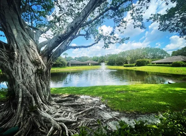 a view of a lake with a big yard