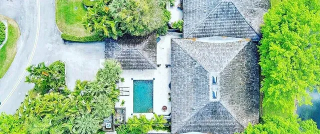 a view of a garden with potted plants