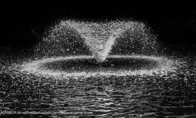 a view of a backyard with a fountain