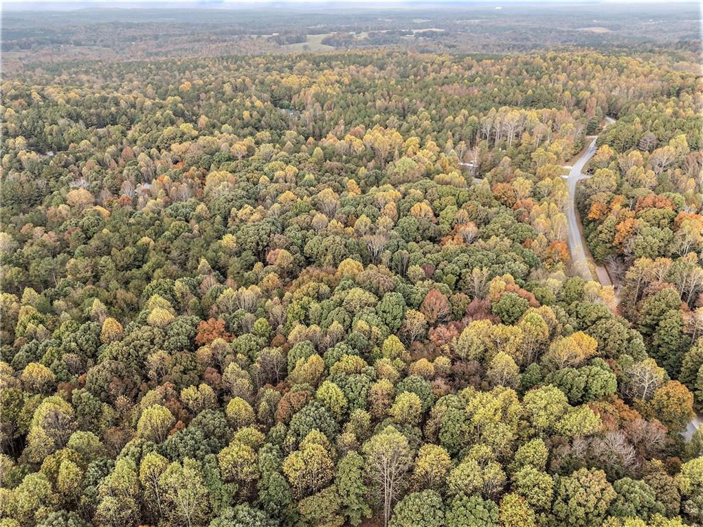 599 Primrose Lane Pendergrass, GA 30567 - Photo 6 of 12 a view of a city with an ocean