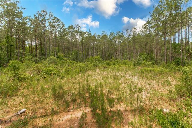 76317 Bob Levy Road Abita Springs, LA 70420 - Photo 1 of 13