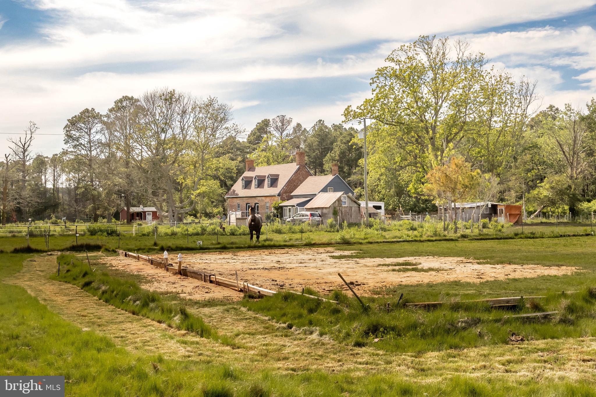 27012 Johnson Creek Road Crisfield, MD 21817 - Photo 64 of 65 Dressage ring