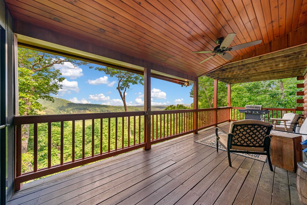 195 Hoot Owl Ridge Morganton, GA 30560 - Photo 16 of 58 Gallery Image 16