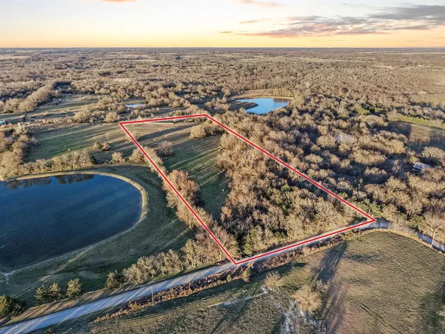 a view of a yard with trees