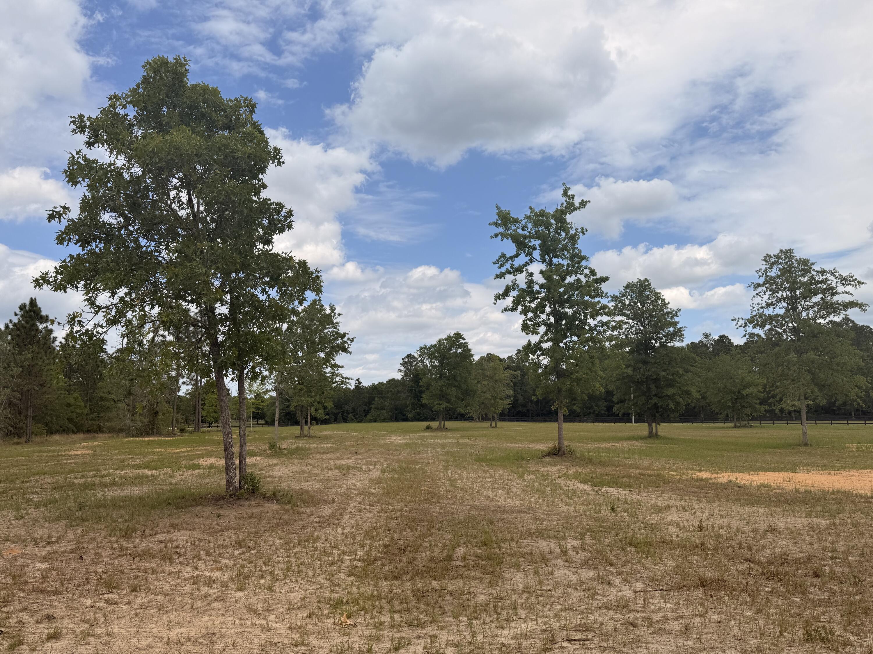 220 Tandem Trail Windsor, SC 29856 - Photo 31 of 48