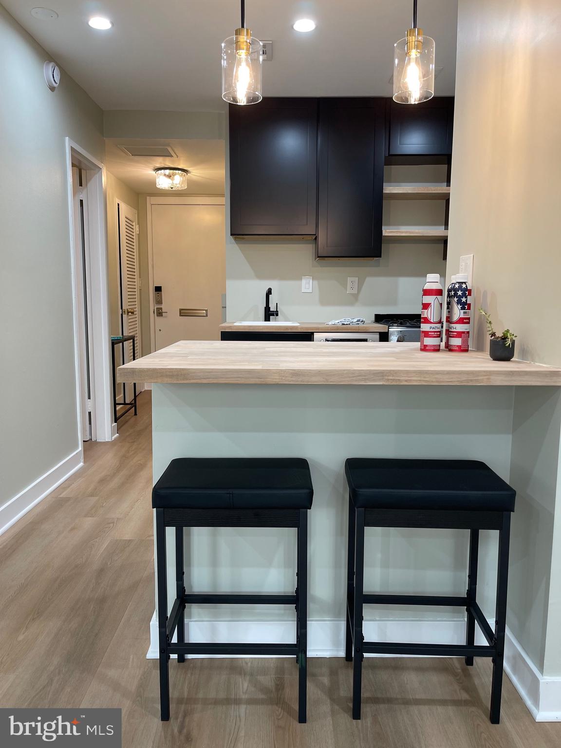 620 3rd Street Southwest Washington, DC 20024 - Photo 8 of 44 a kitchen with a sink and a refrigerator