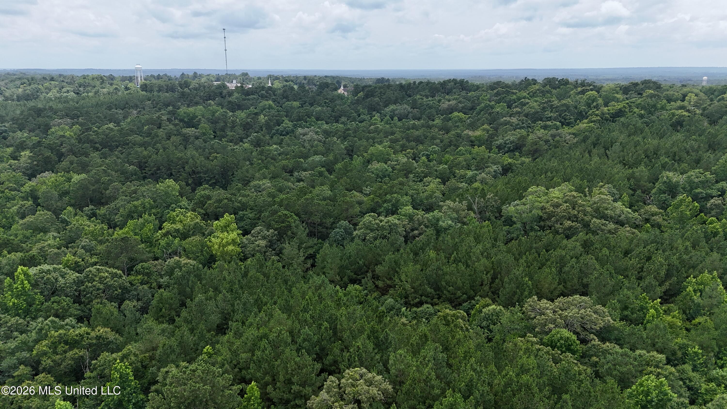 204 Mississippi 35 Raleigh, MS 39153 - Photo 27 of 32 dji_fly_20260617_134300_0307_17818737196