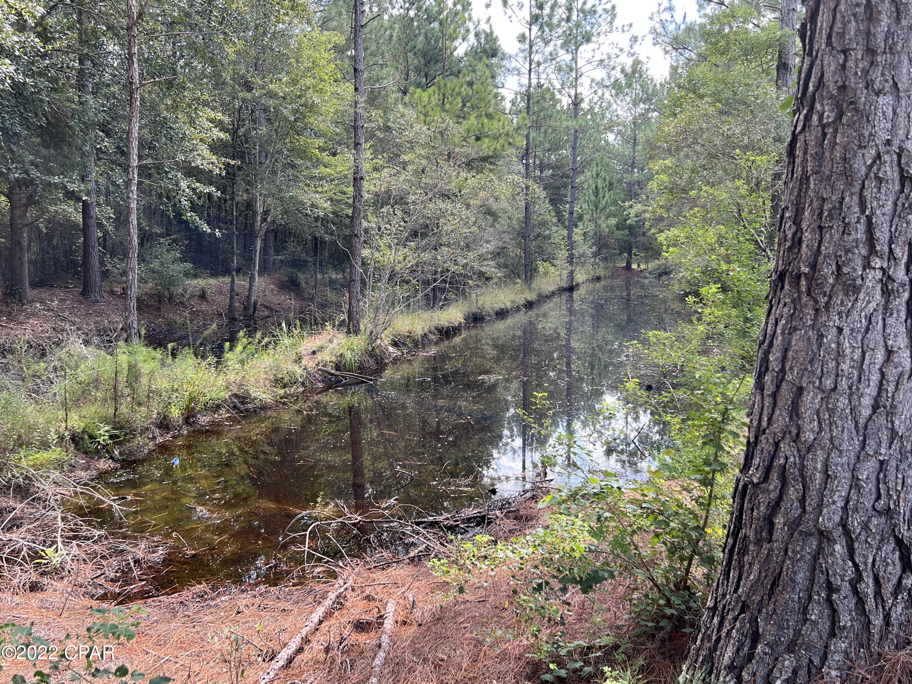 1263 George Johnson Road Bonifay, FL 32425 - Photo 7 of 23