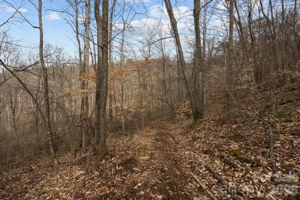 $100,000 | 99999 Haynes Cove, Clyde, NC 28721