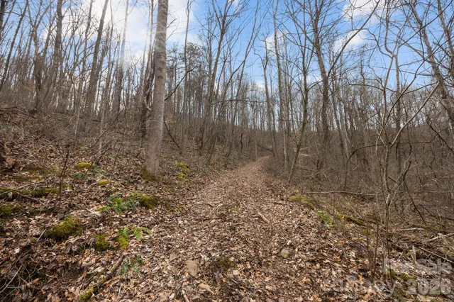 $100,000 | 99999 Haynes Cove, Clyde, NC 28721