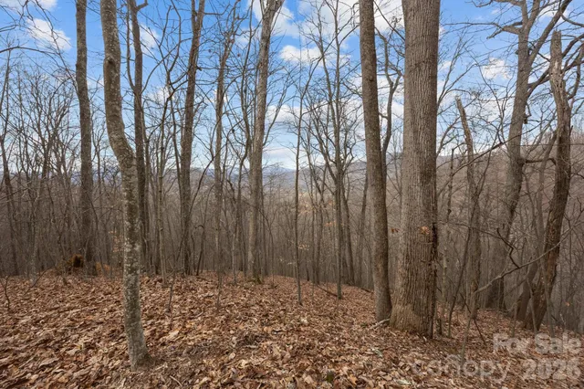 $100,000 | 99999 Haynes Cove, Clyde, NC 28721