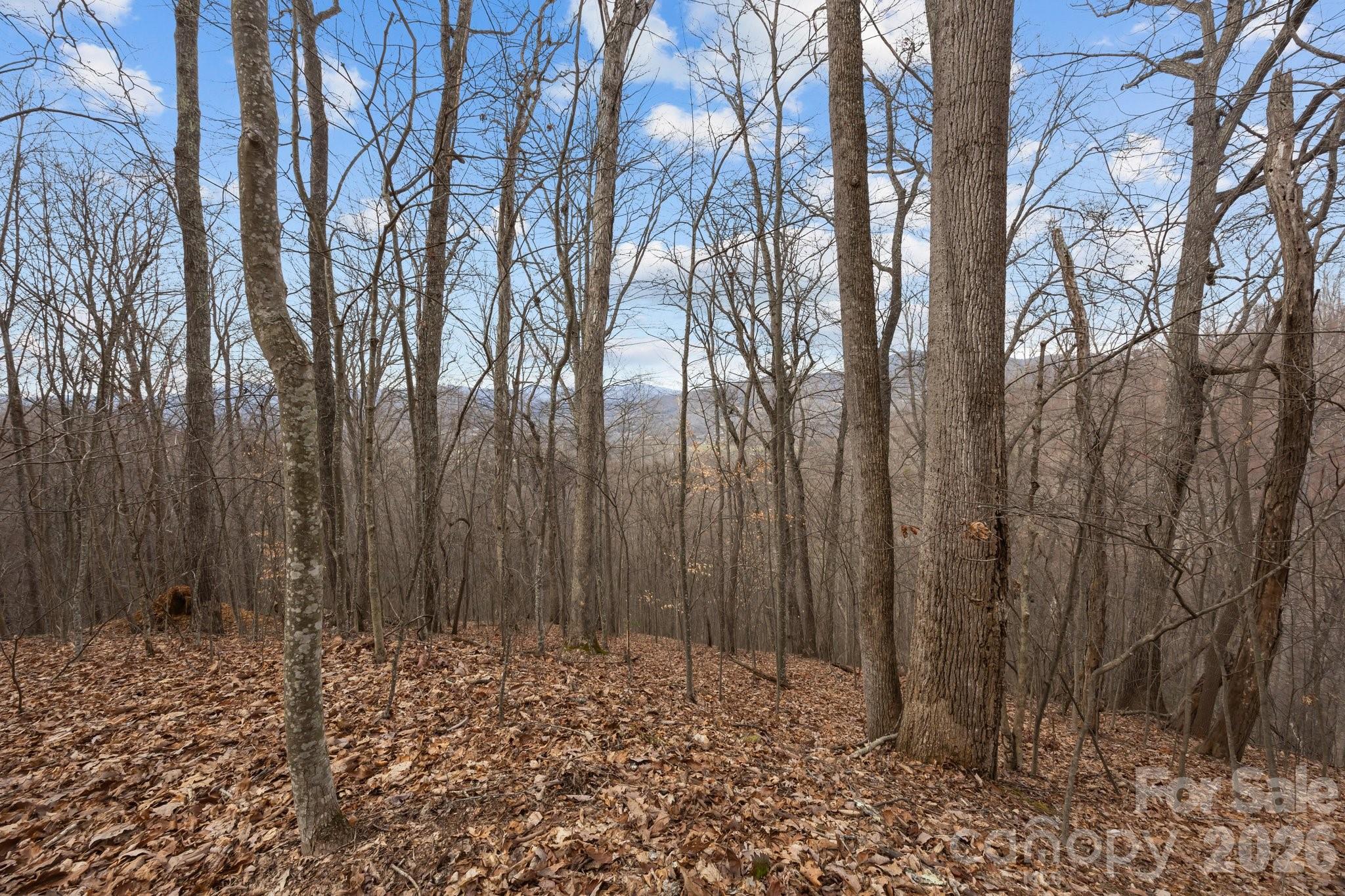 99999 Haynes Cove Clyde, NC 28721 - Photo 12 of 17 a view of wooden fence