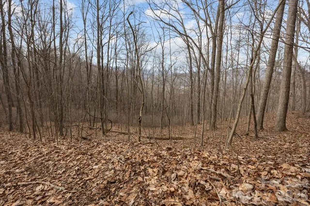 $100,000 | 99999 Haynes Cove, Clyde, NC 28721