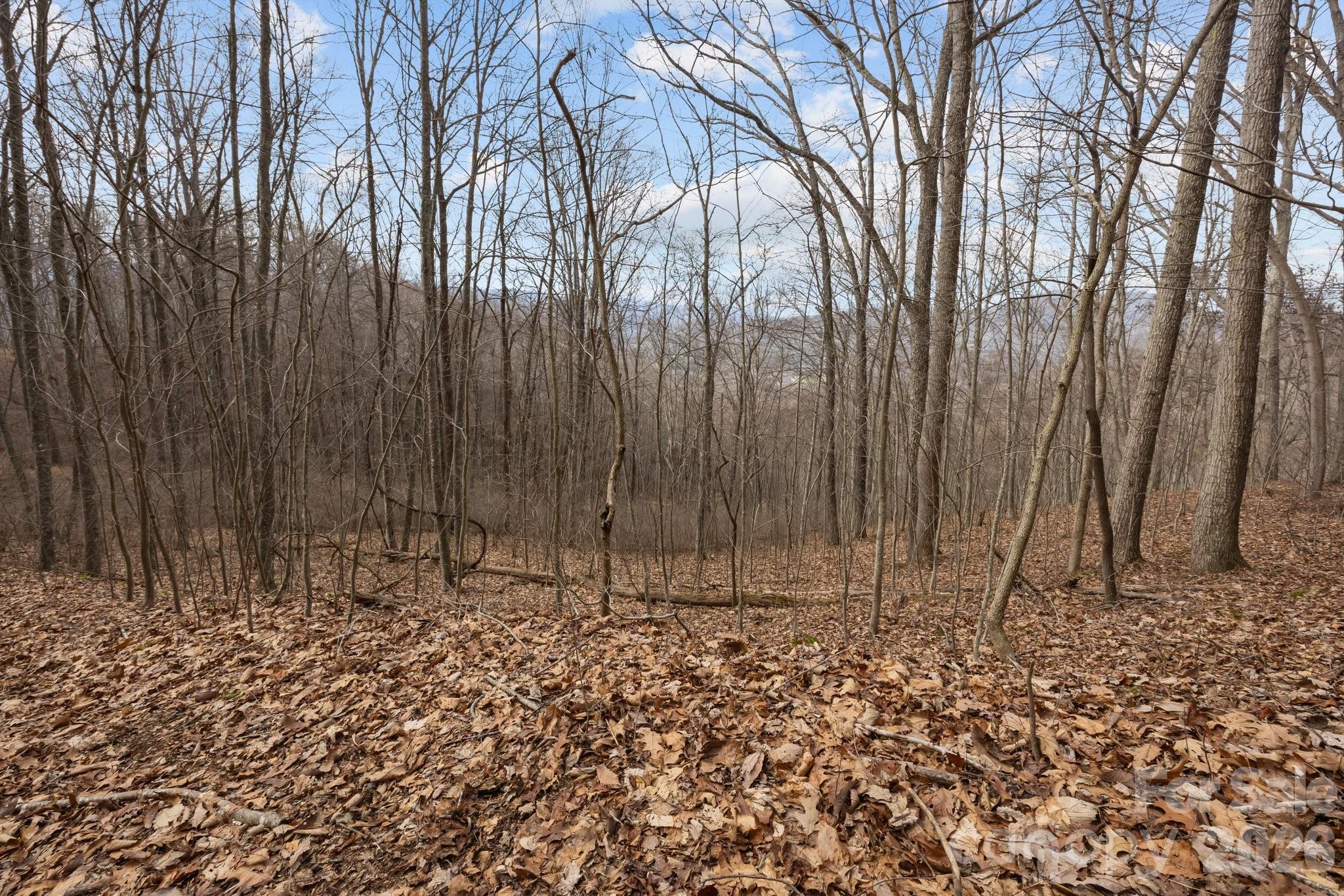 99999 Haynes Cove Clyde, NC 28721 - Photo 14 of 17 a view of wooden fence