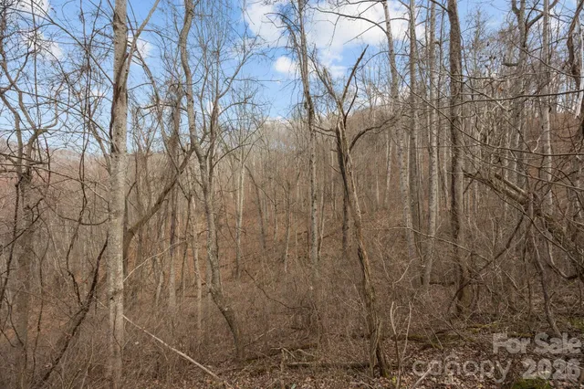 $100,000 | 99999 Haynes Cove, Clyde, NC 28721