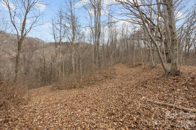 $100,000 | 99999 Haynes Cove, Clyde, NC 28721