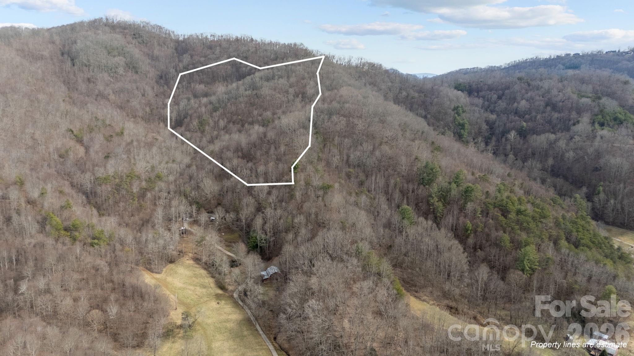 99999 Haynes Cove Clyde, NC 28721 - Photo 17 of 17 a view of a dry yard