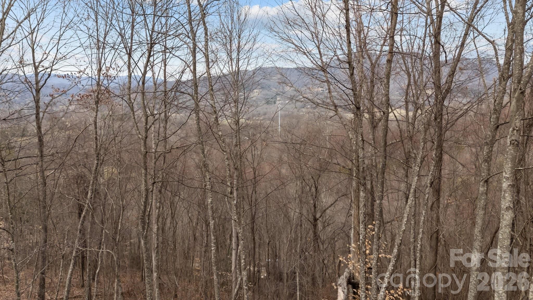 99999 Haynes Cove Clyde, NC 28721 - Photo 2 of 17 a view of a yard with large trees