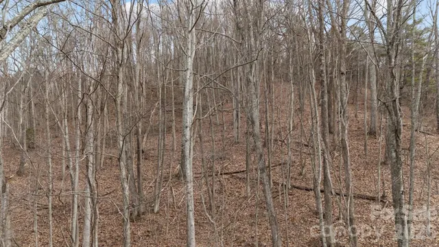 $100,000 | 99999 Haynes Cove, Clyde, NC 28721