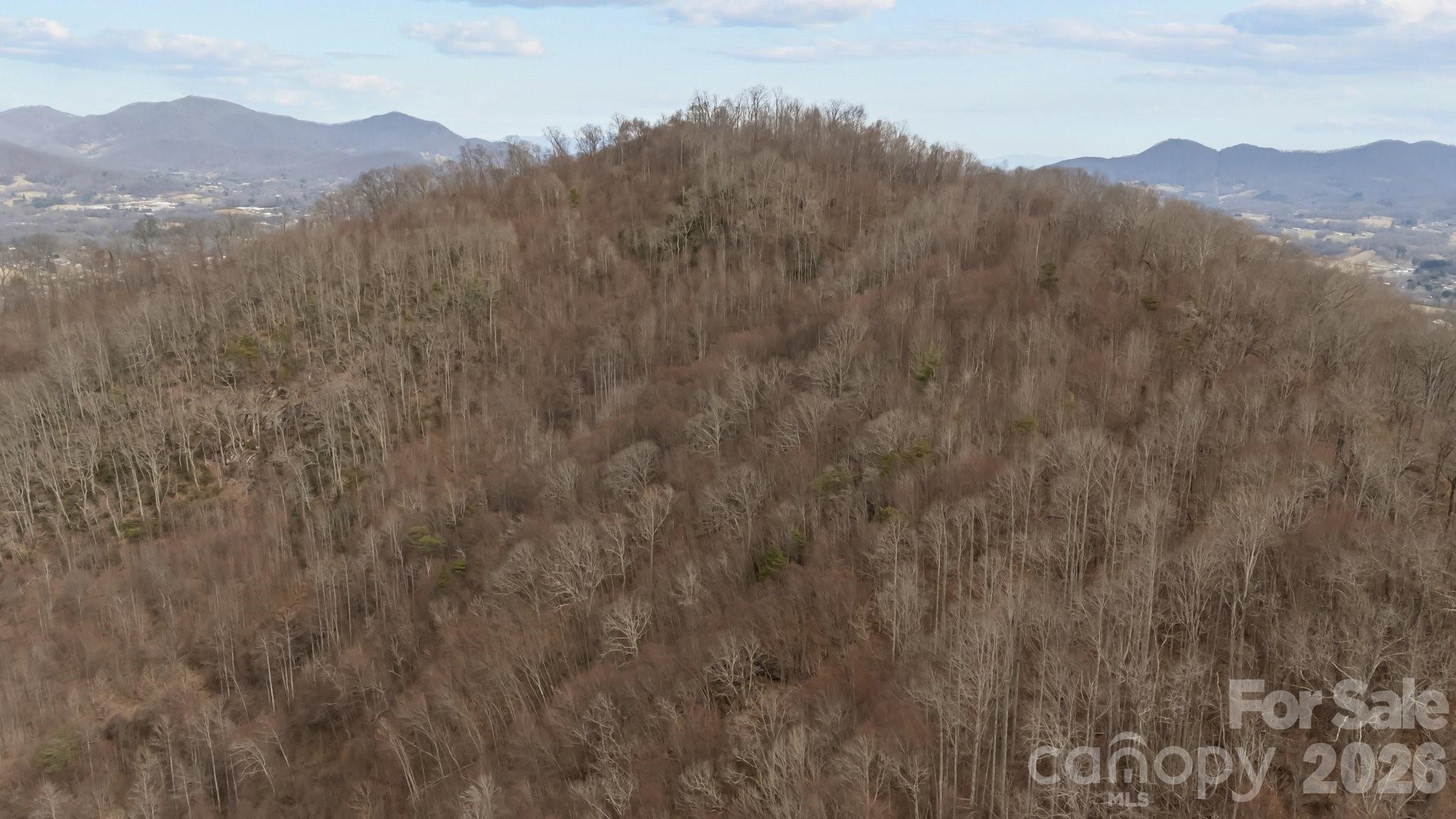 99999 Haynes Cove Clyde, NC 28721 - Photo 4 of 17 a view of a mountain range with trees in the background