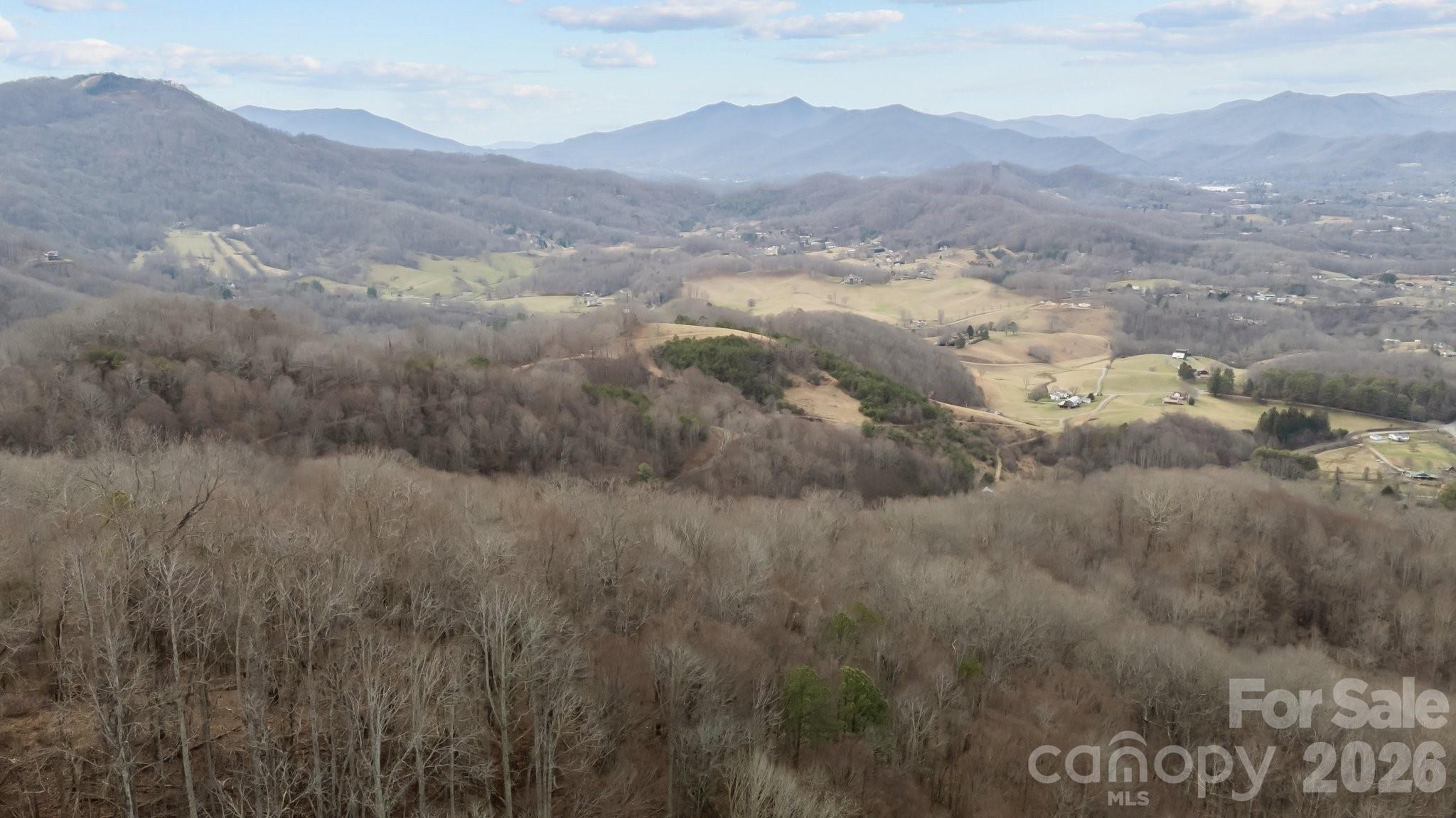 99999 Haynes Cove Clyde, NC 28721 - Photo 5 of 17 a view of a mountain in the distance in a field