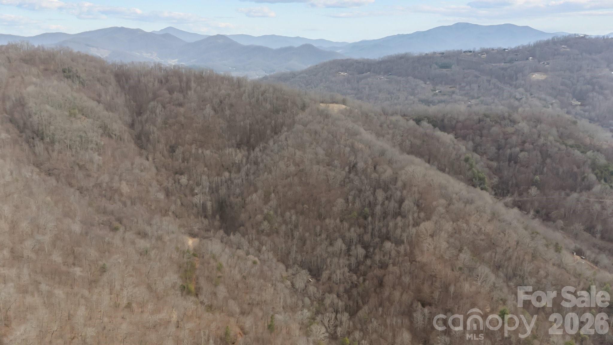 99999 Haynes Cove Clyde, NC 28721 - Photo 6 of 17 a view of a mountain range with trees in the background